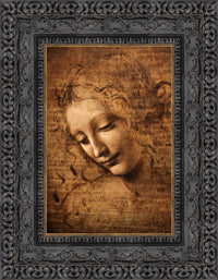 Dark Bronze frame
