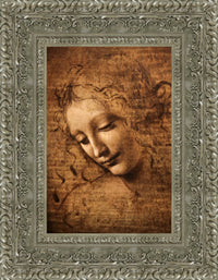 Silver frame