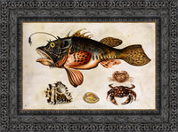 Dark Bronze frame