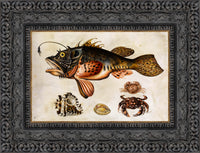 Dark Bronze frame