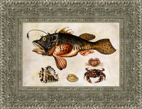 Silver frame