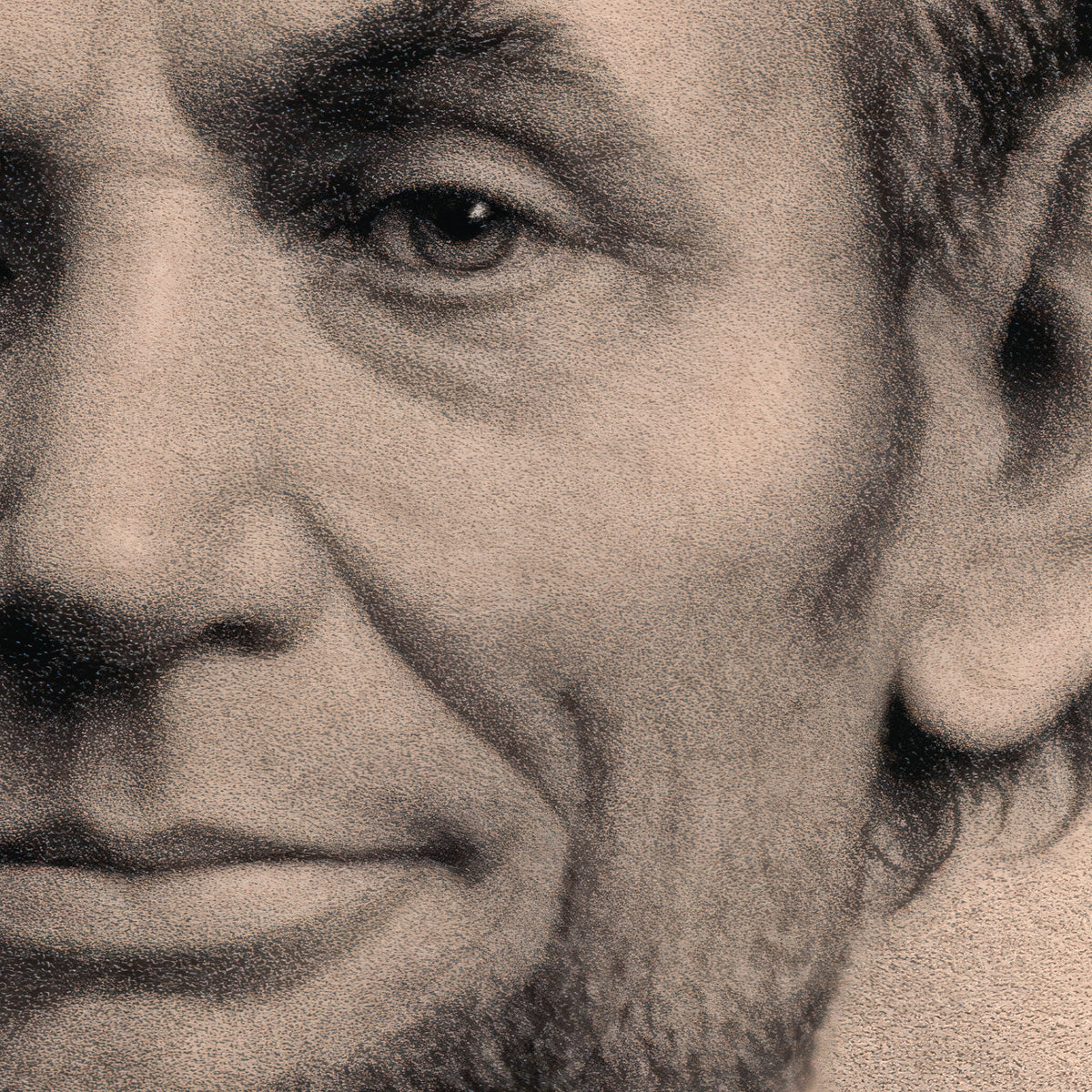 Abraham Lincoln - Matthew Wilson, 1865, print detail at full resolution