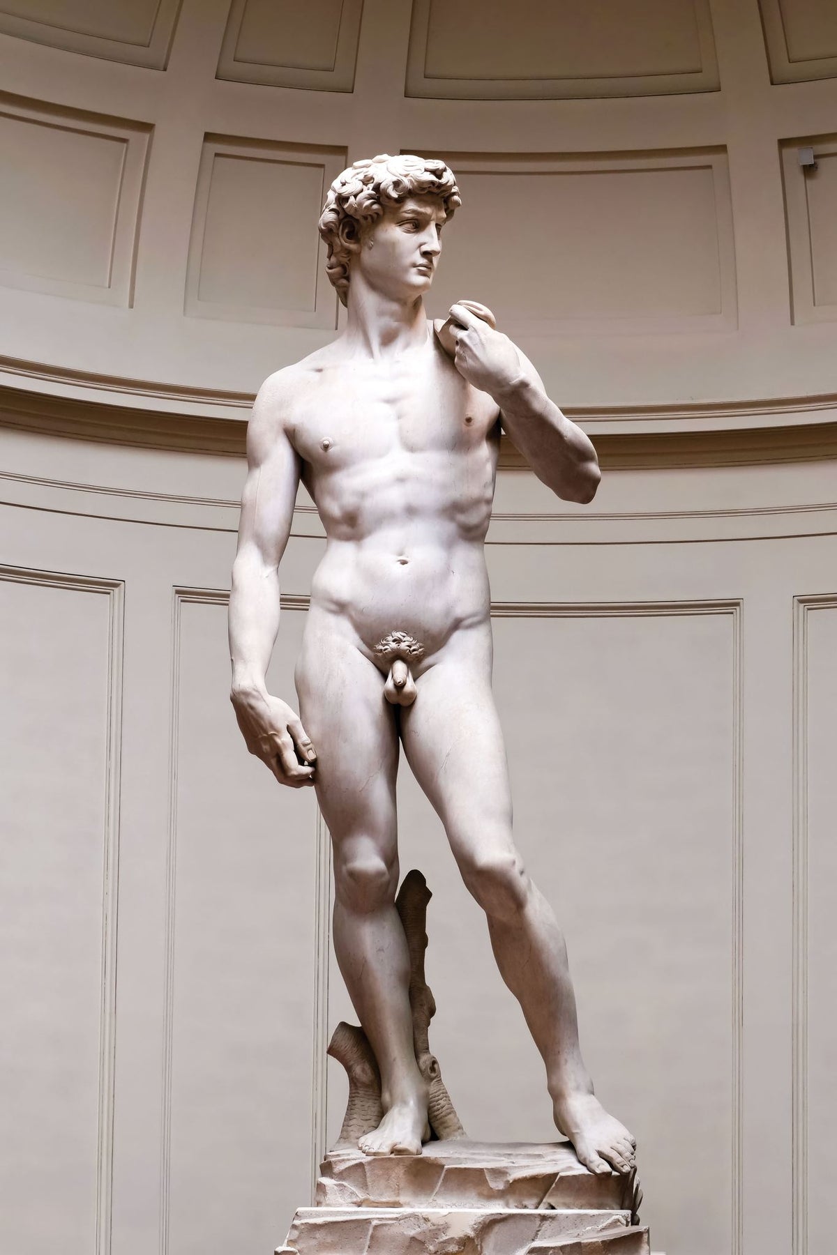 David – Michelangelo, 1504, framed