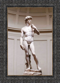 Dark Bronze frame