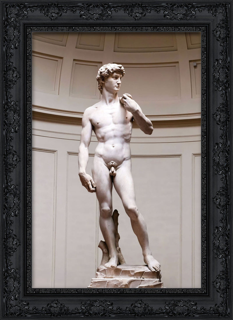 David – Michelangelo, 1504