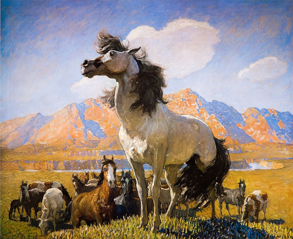 Smokey Face – N. C. Wyeth, 1909, framed