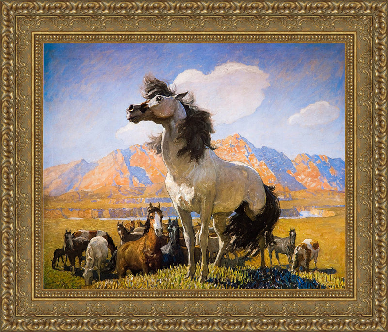 Smokey Face – N. C. Wyeth, 1909