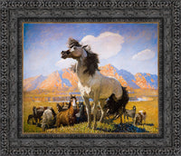 Dark Bronze frame