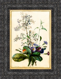 Dark Bronze frame