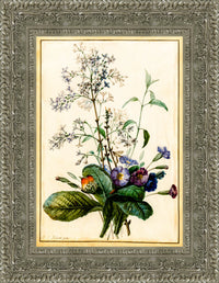 Silver frame