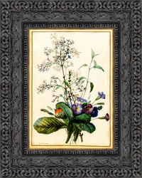 Dark Bronze frame