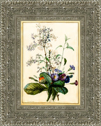 Silver frame