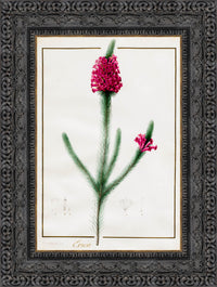 Dark Bronze frame