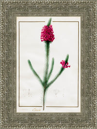 Silver frame