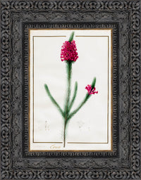 Dark Bronze frame