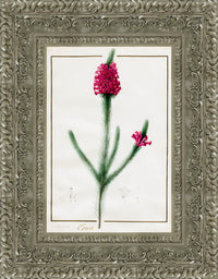 Silver frame