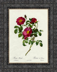 Dark Bronze frame