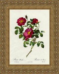 Gold frame