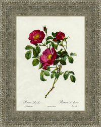 Silver frame