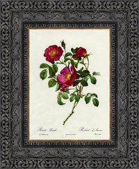 Dark Bronze frame