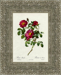 Silver frame