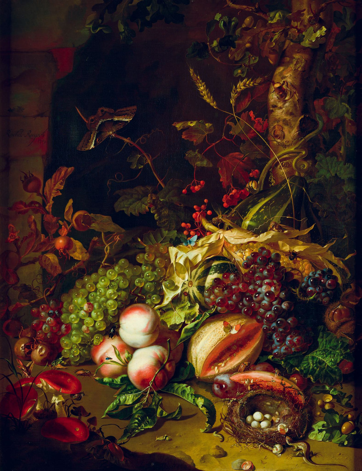 Fruit Piece – Rachel Ruysch, 1704, framed