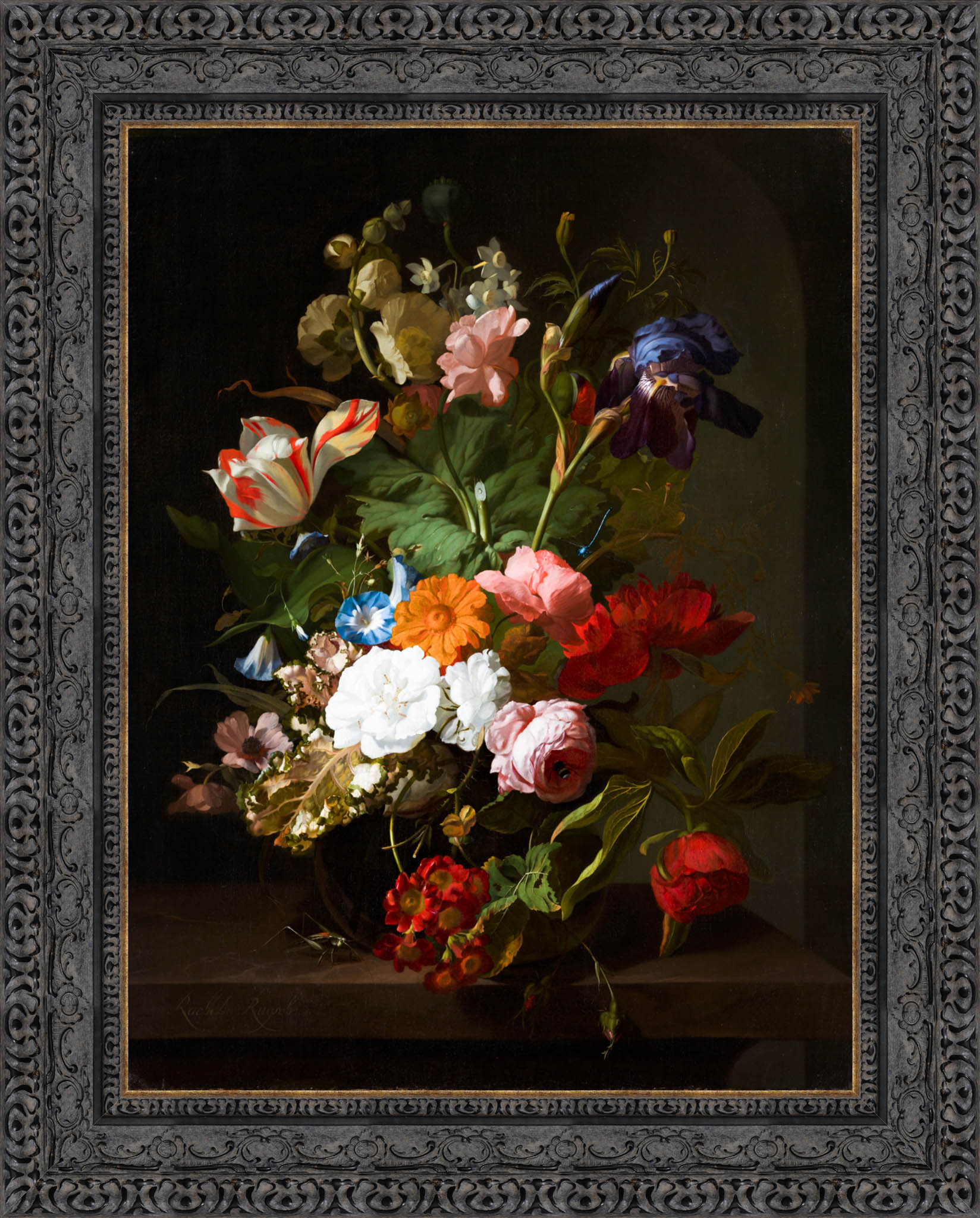 Vase With Flowers – Rachel Ruysch, 1706 - Canvas Classics