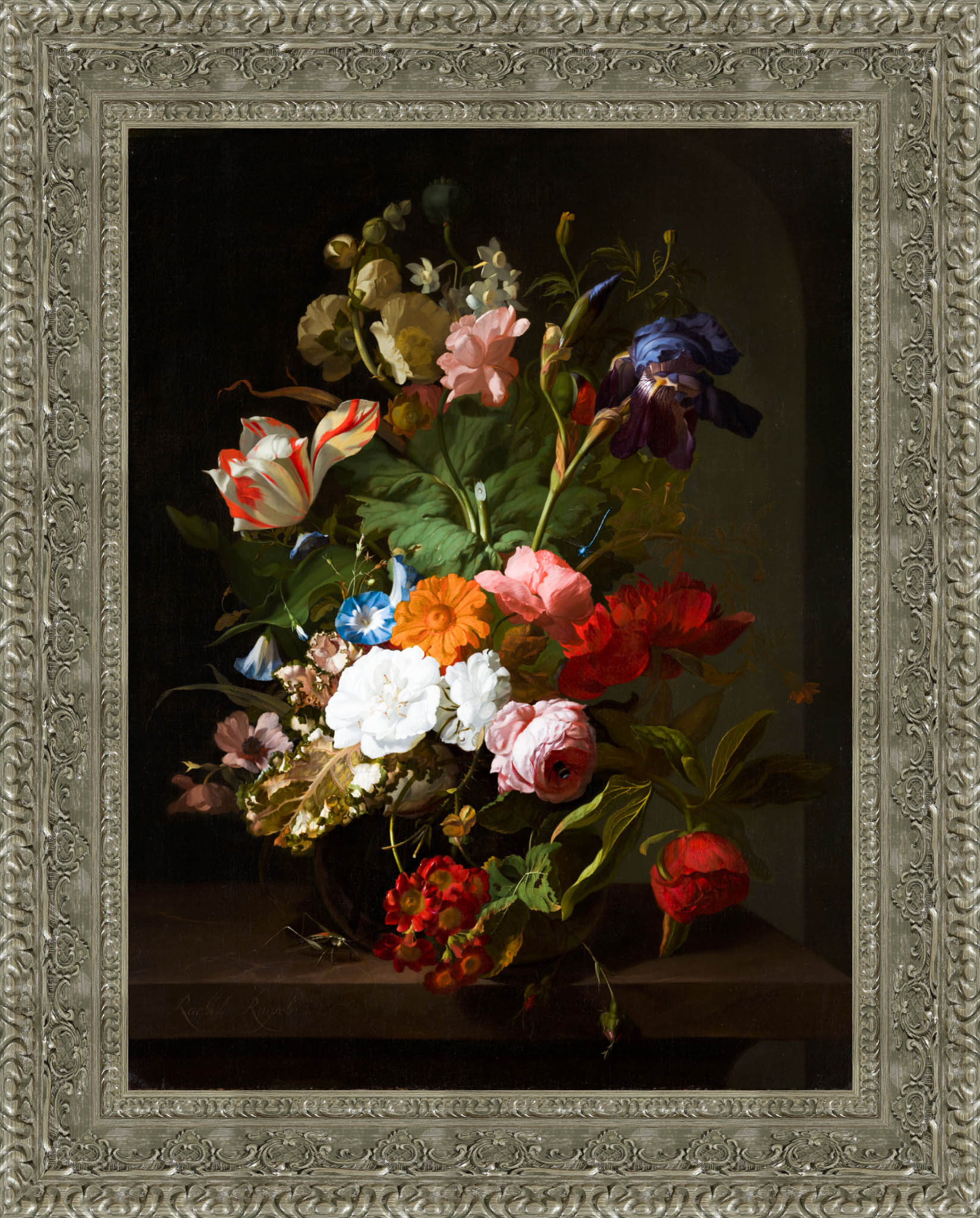 Vase With Flowers – Rachel Ruysch, 1706 - Canvas Classics
