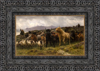 Dark Bronze frame