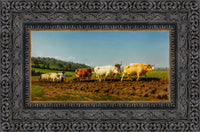 Dark Bronze frame