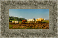 Silver frame