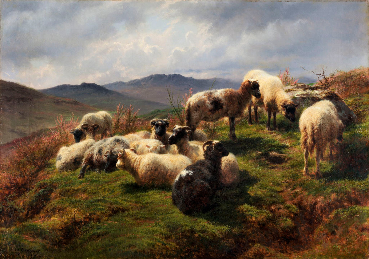 Sheep In The Highlands – Rosa Bonheur, 1870, framed