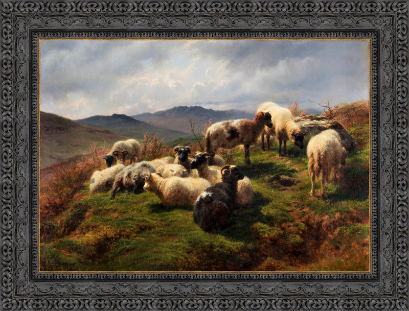 Sheep In The Highlands – Rosa Bonheur, 1870