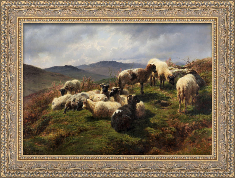 Sheep In The Highlands – Rosa Bonheur, 1870
