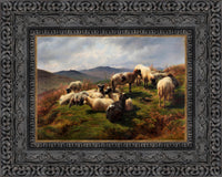 Dark Bronze frame