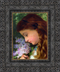 Dark Bronze frame