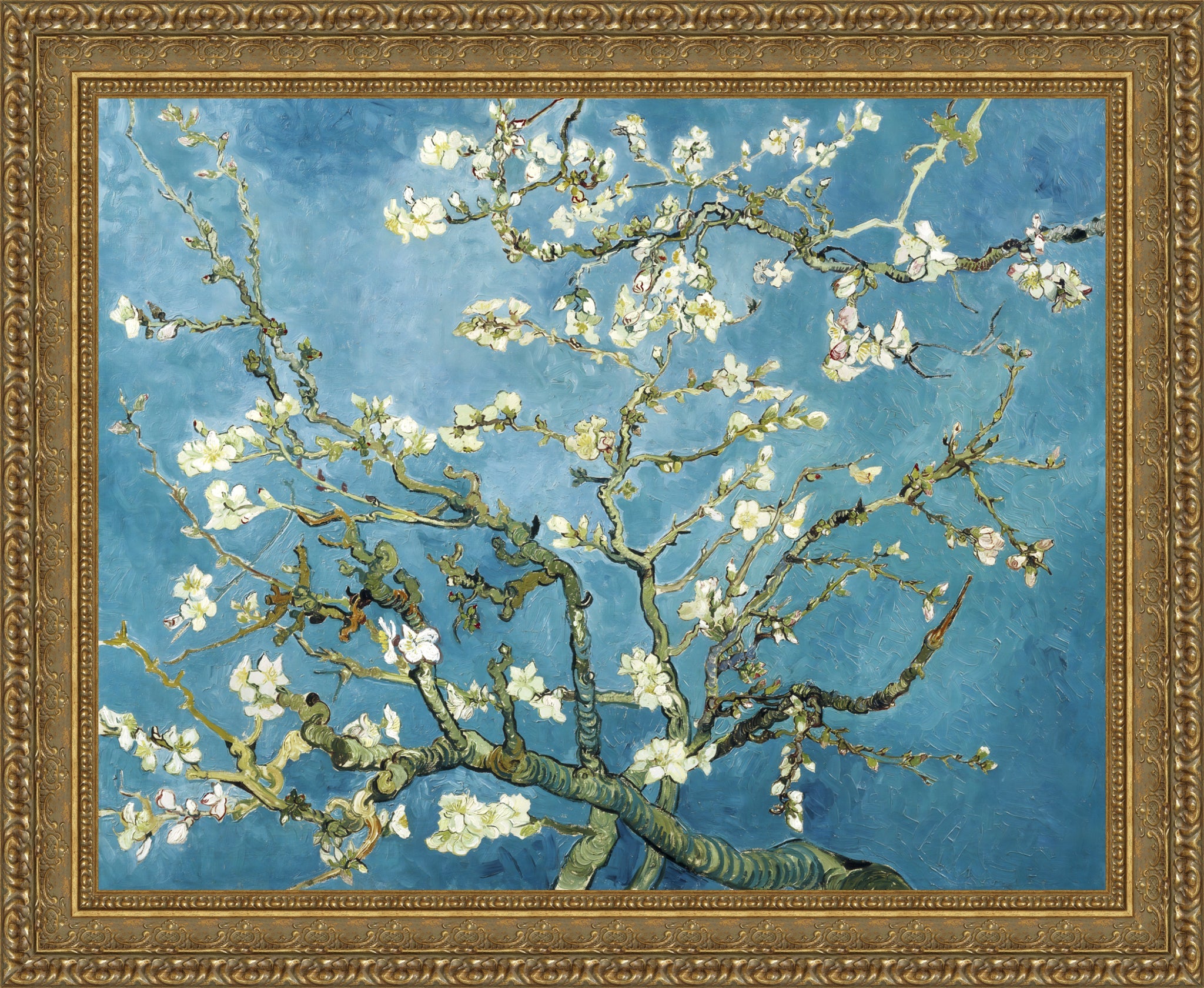 Almond Blossoms