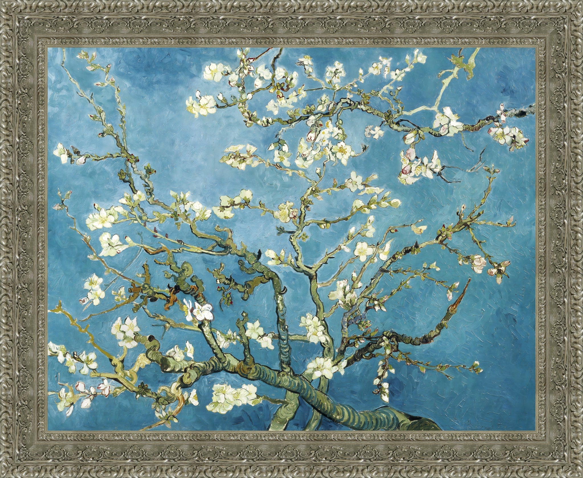 Almond Blossoms