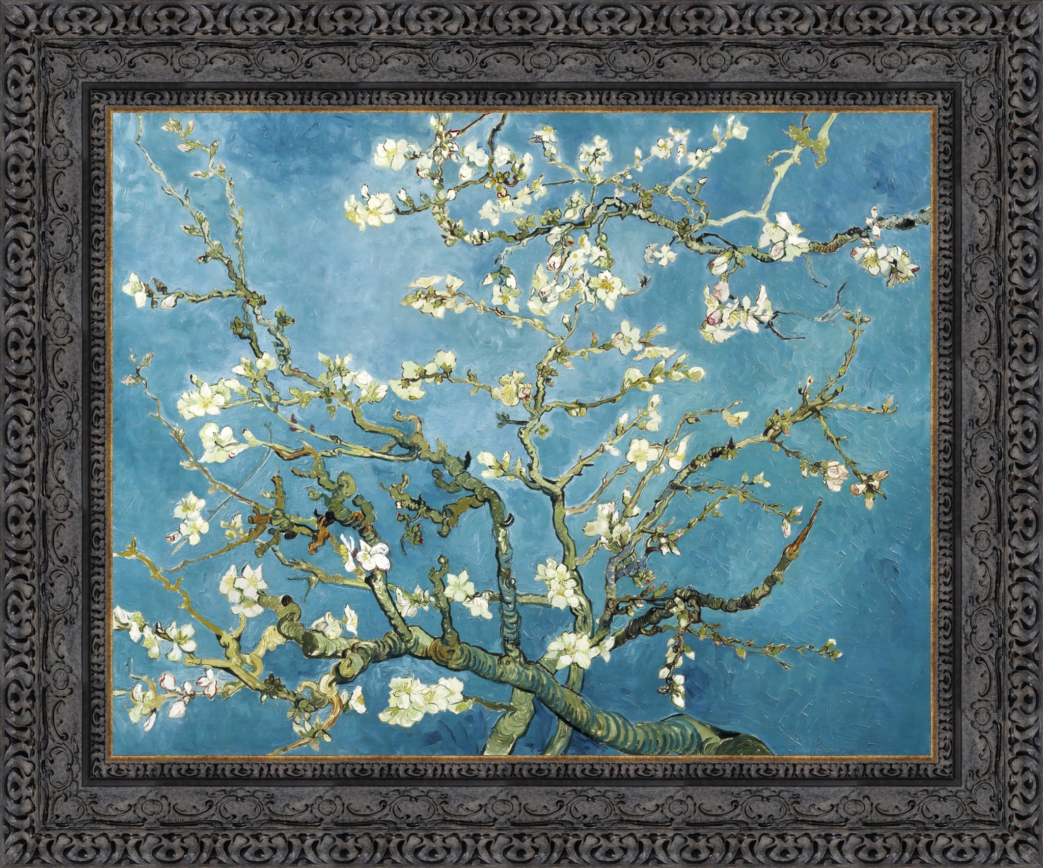 Almond Blossoms