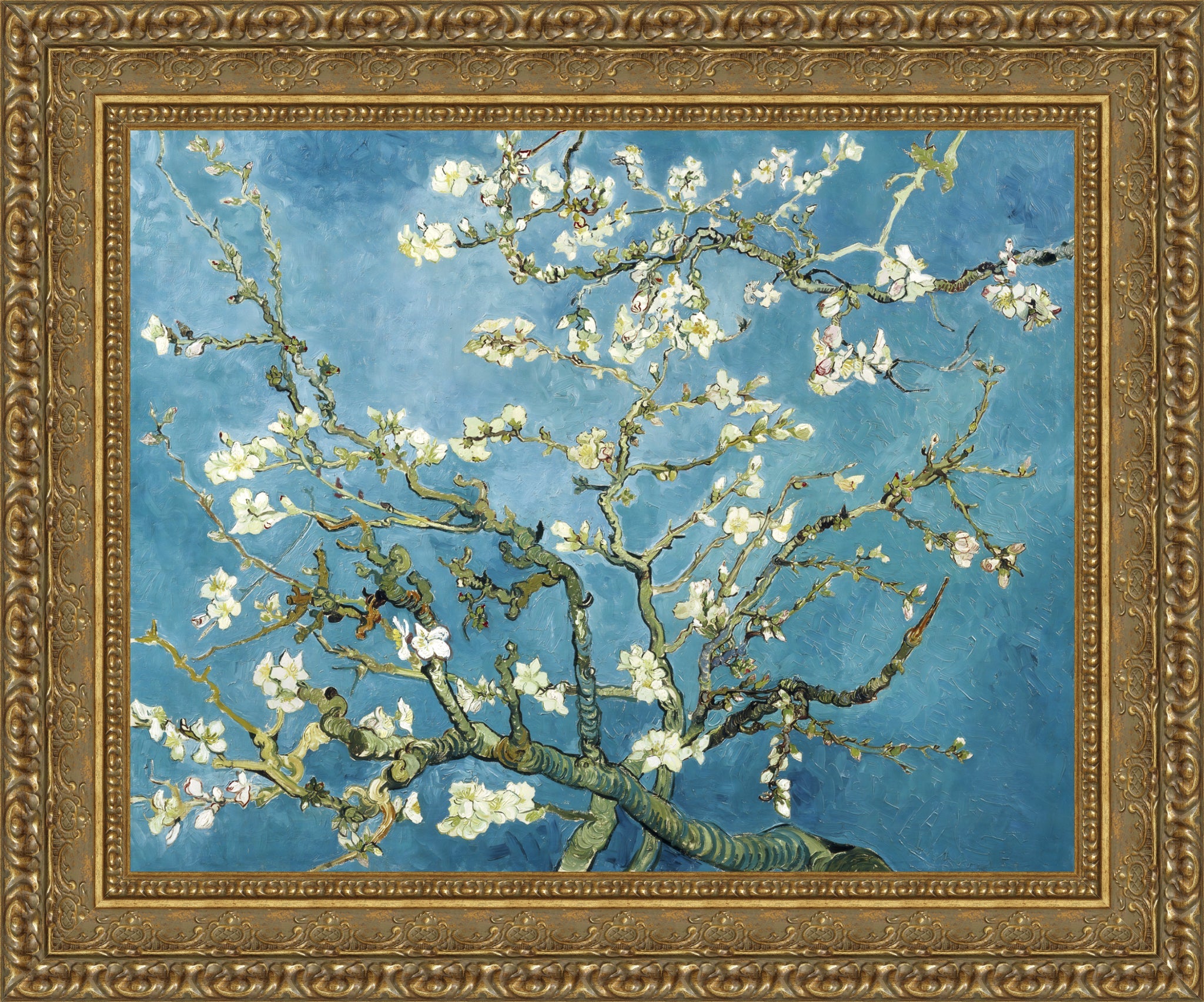 Almond Blossoms
