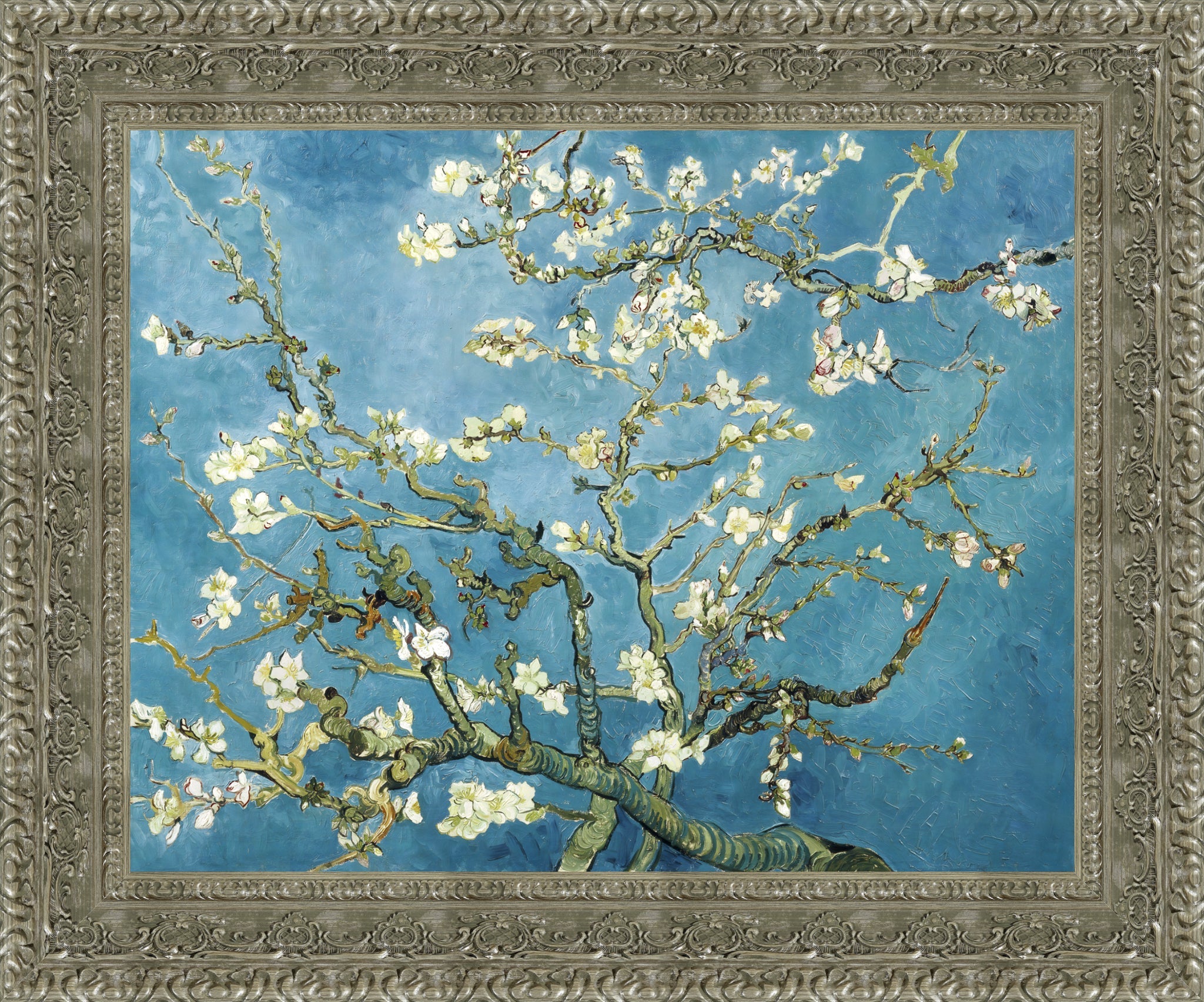 Almond Blossoms