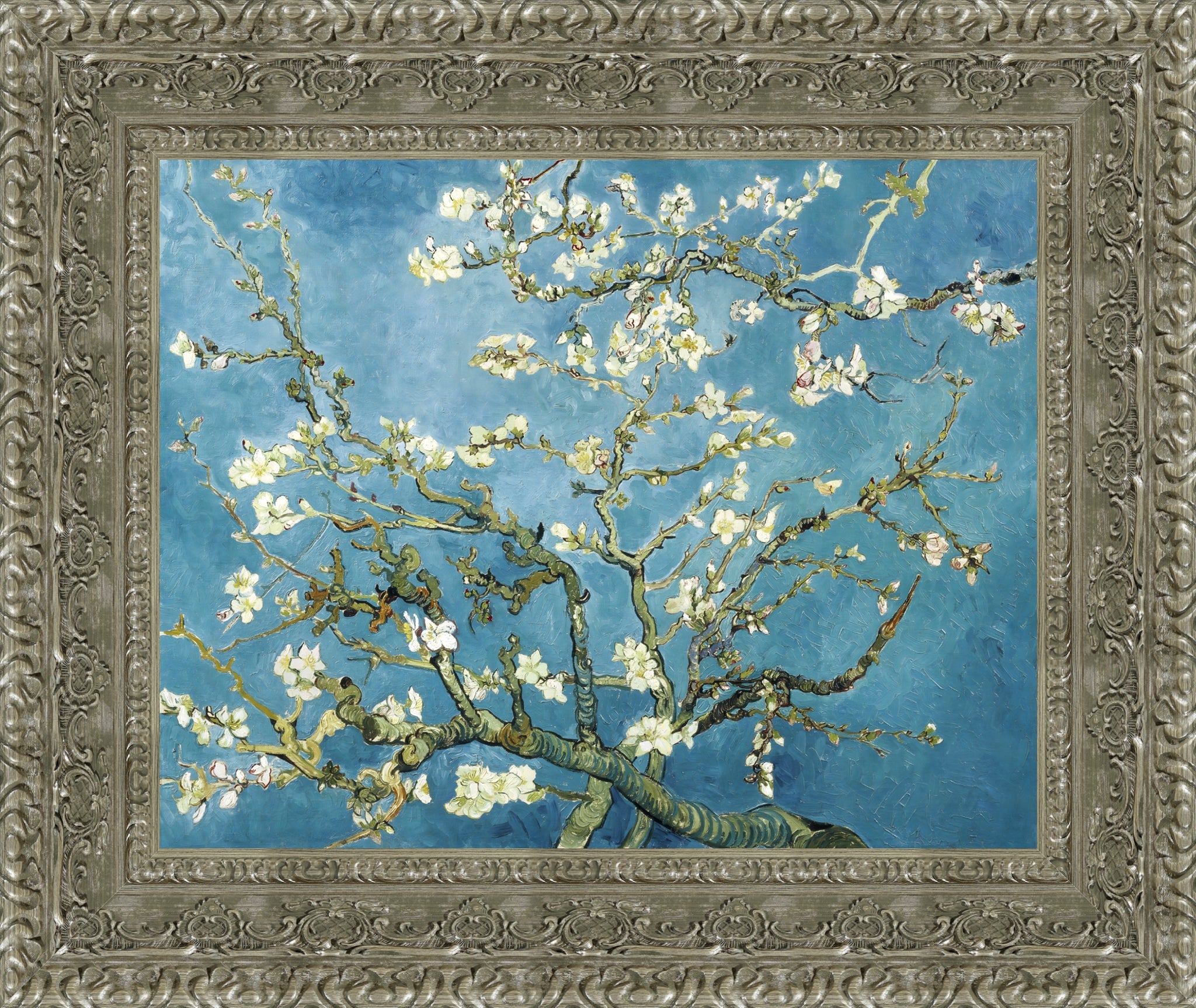 Almond Blossoms