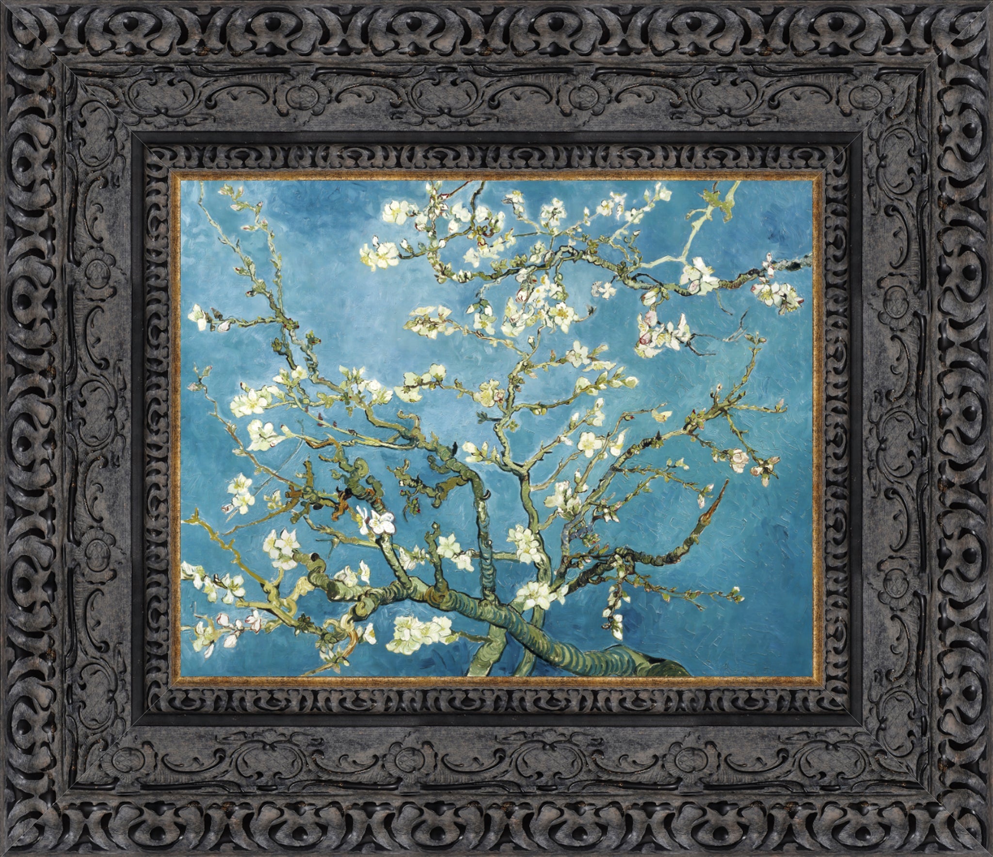 Almond Blossoms
