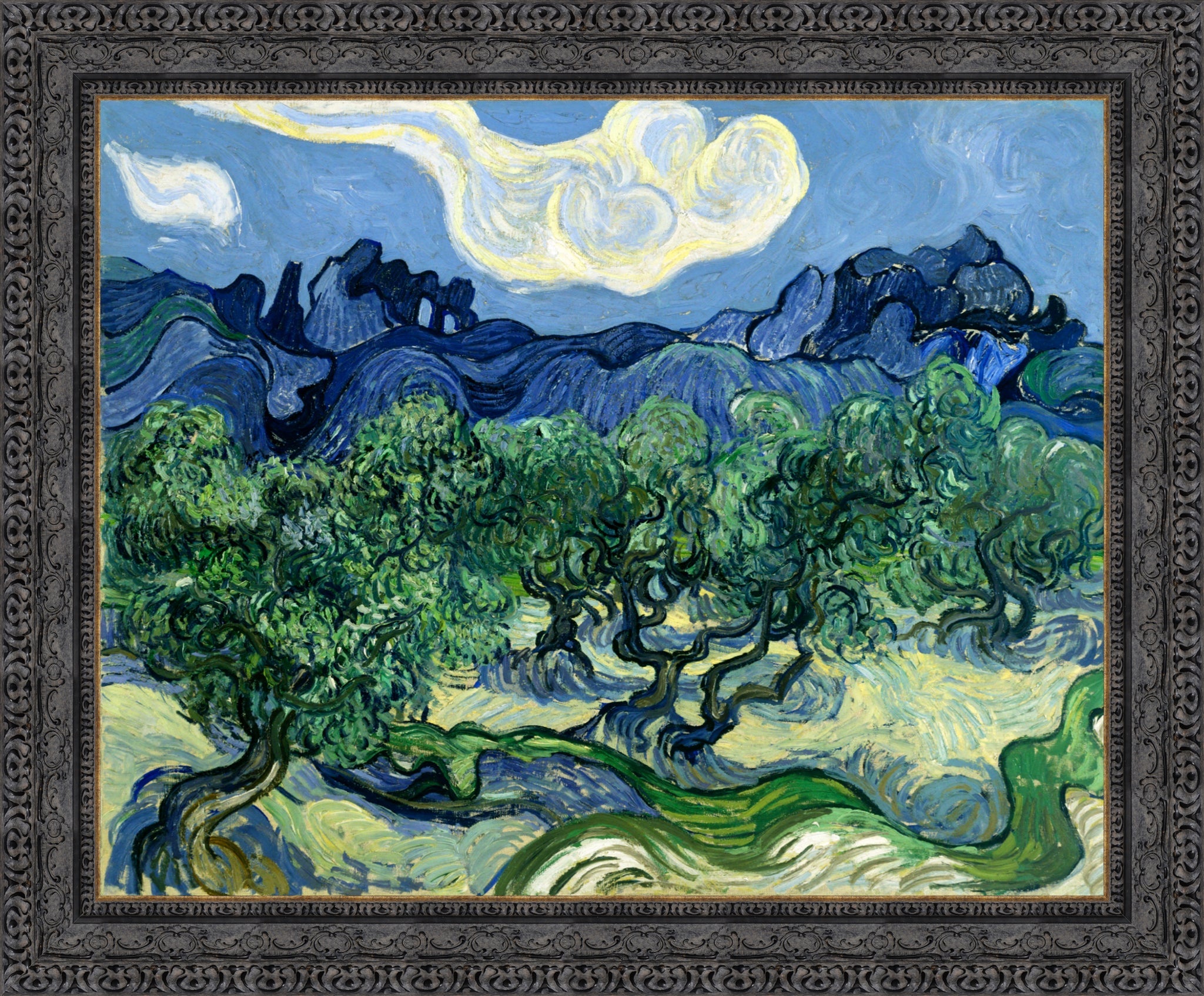 Olive Trees with the Alpilles in the Background