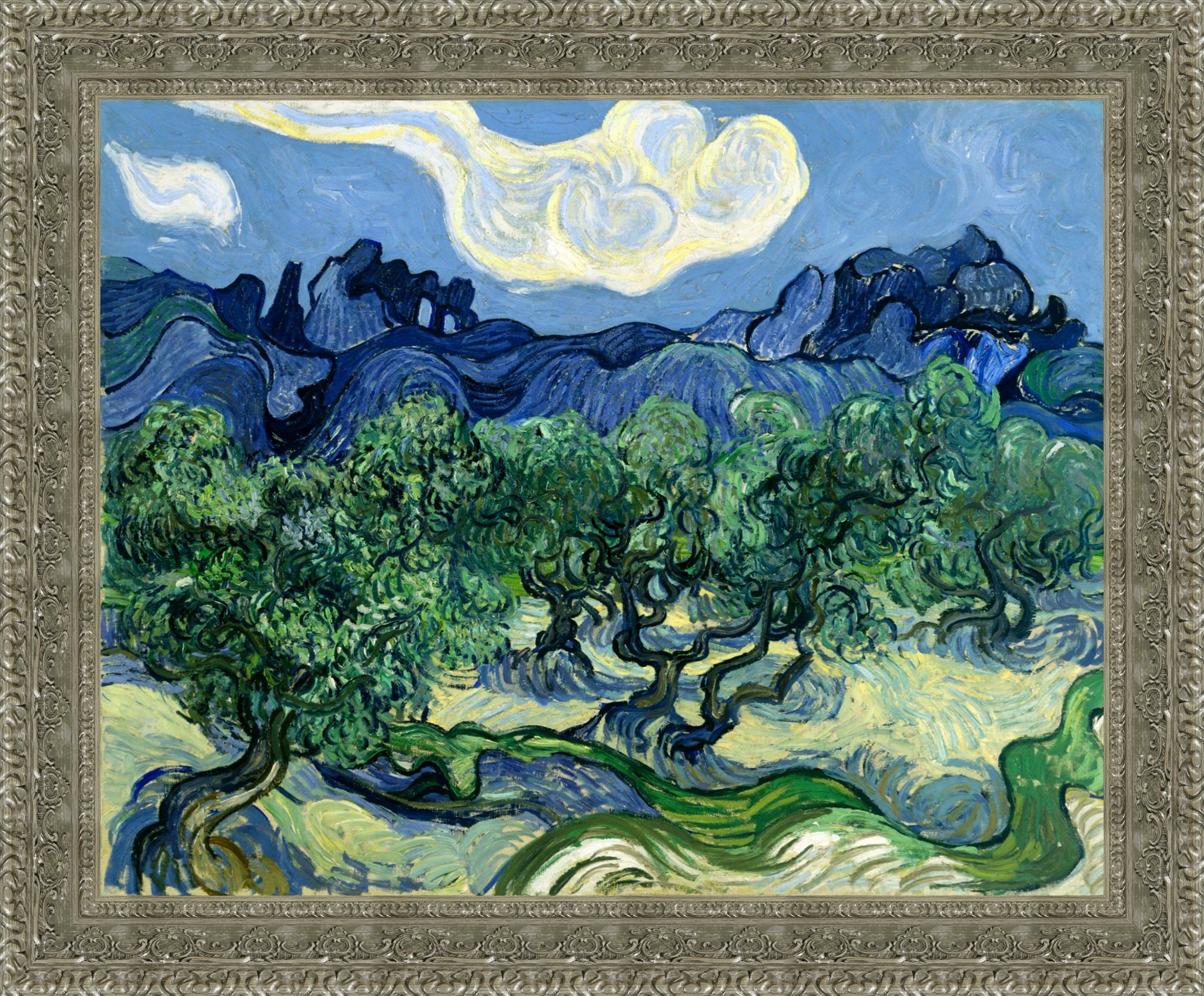 Olive Trees with the Alpilles in the Background
