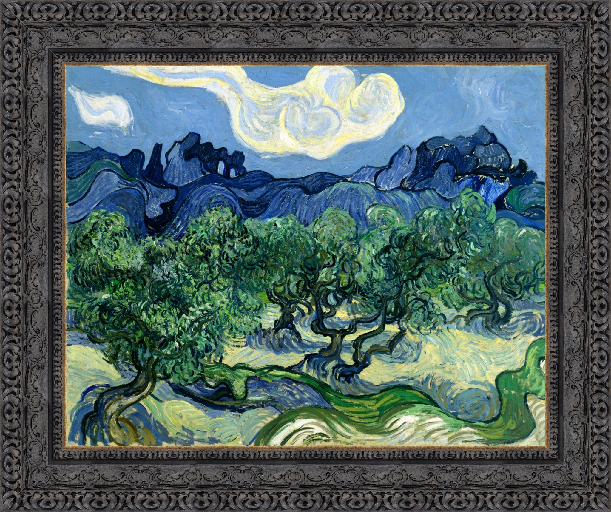 Olive Trees with the Alpilles in the Background