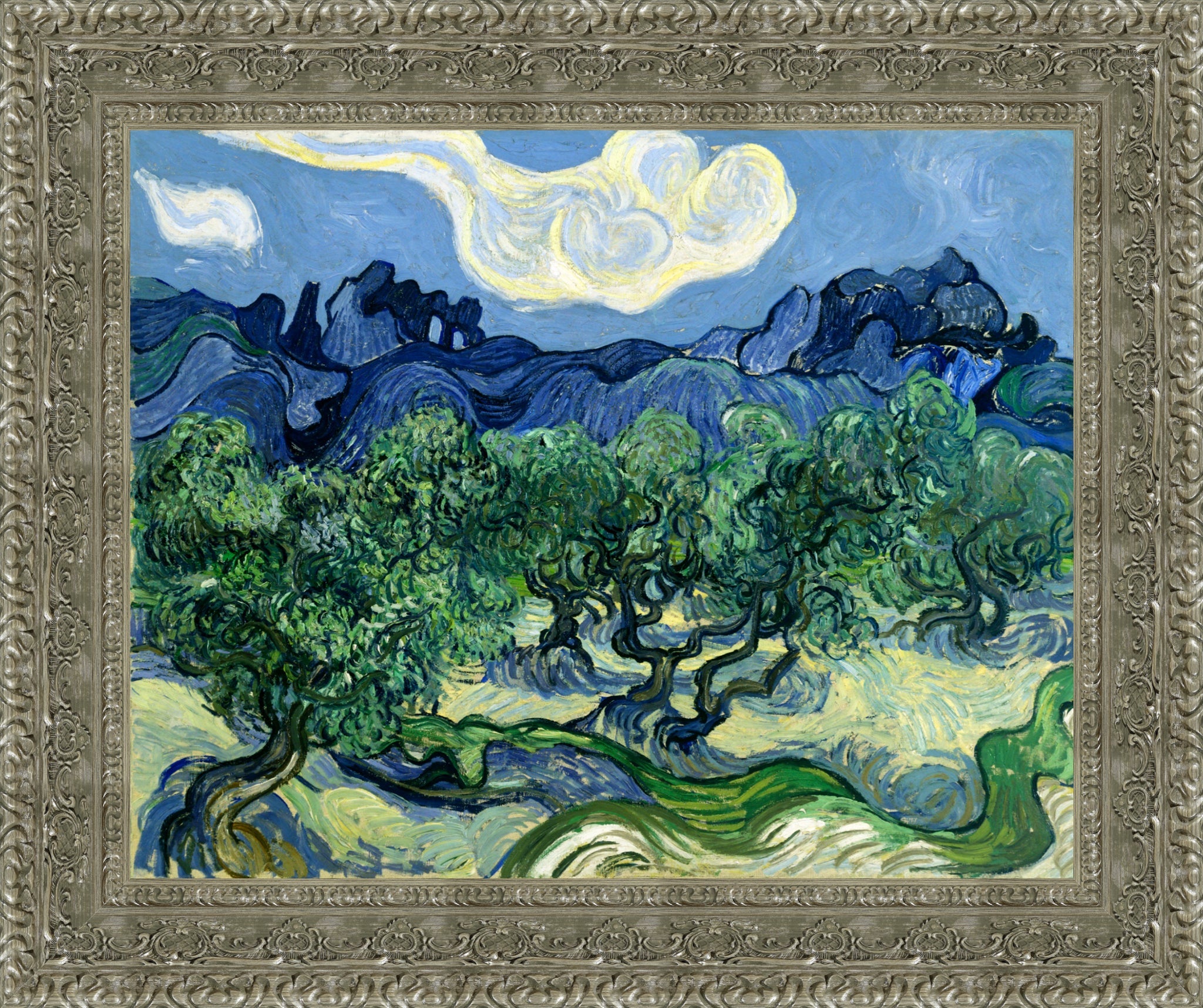 Olive Trees with the Alpilles in the Background