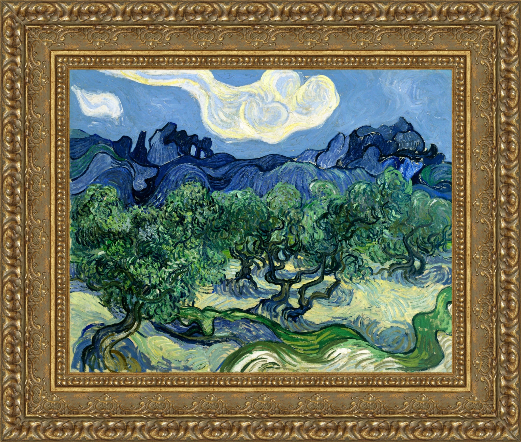 Olive Trees with the Alpilles in the Background