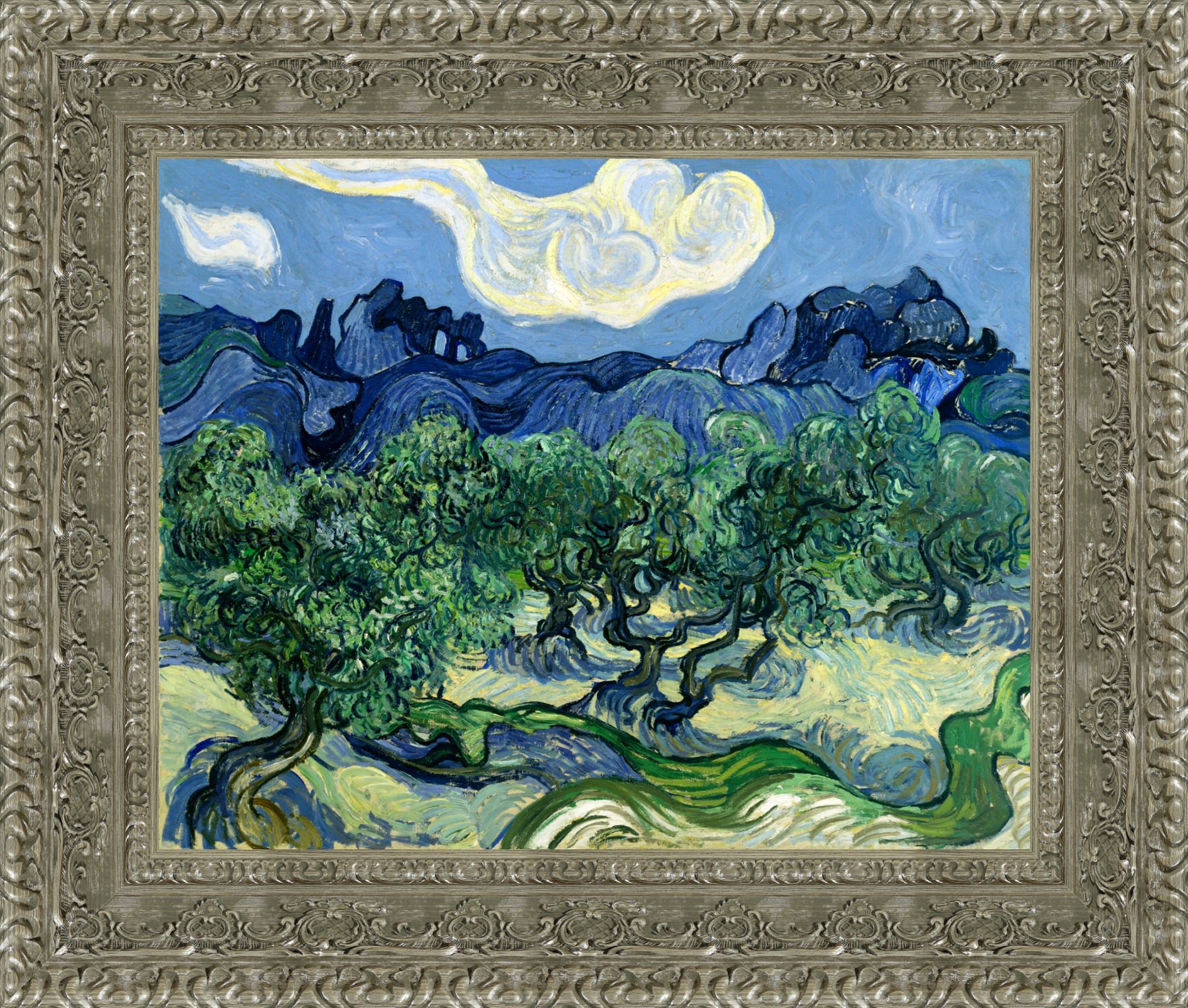 Olive Trees with the Alpilles in the Background