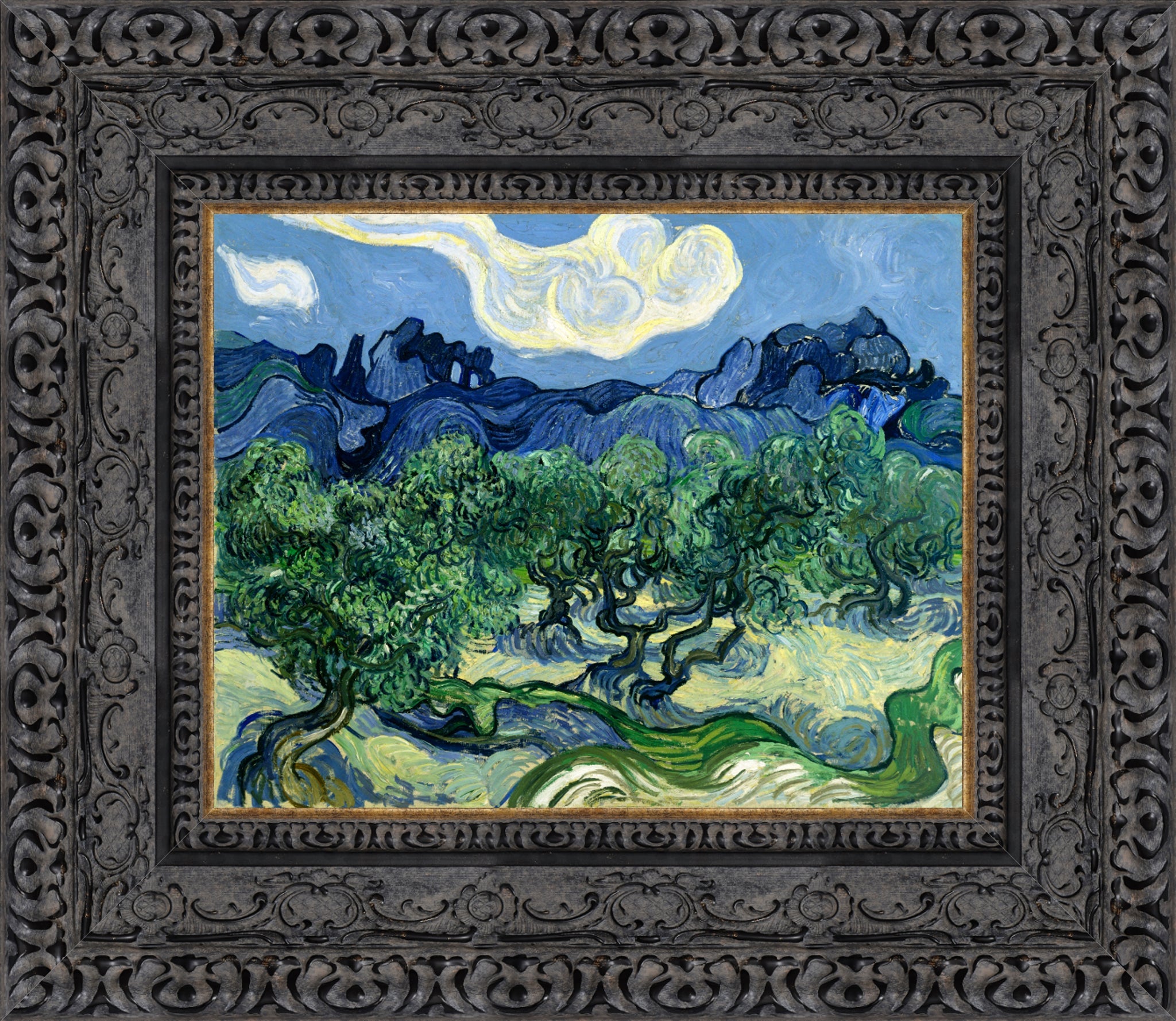 Olive Trees with the Alpilles in the Background